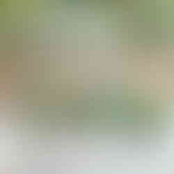 River Oaks Garden Club Wedding Venue