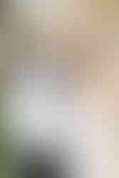 cocktail hour at the peach orchard wedding venue