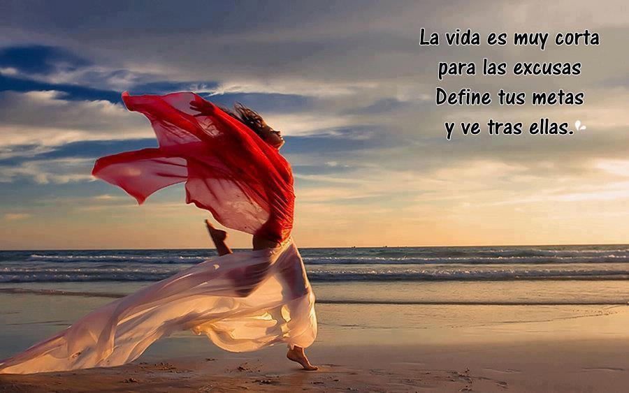 metas-el-2014-fija-objetivos-L-OpHFY_.jpeg