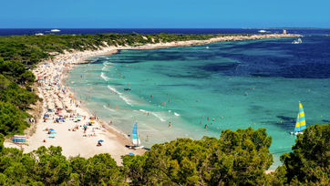 Playa des ses Salinas_3.jpg