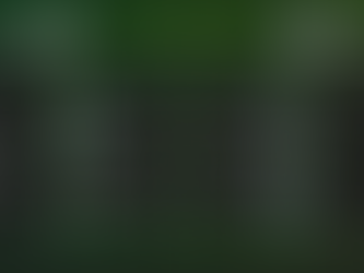 Demminer SV 91 – Traktor Sarow, 6:0 (3:0)