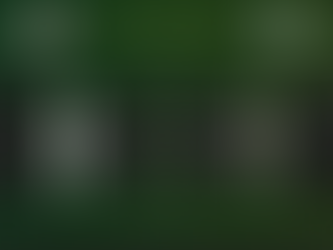 E Jugend SV Siedenbollentin - DSV91 0:27 (0:14)