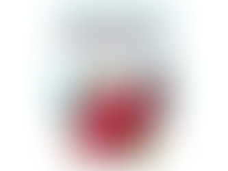 Kommt vorbei zum Stand des DSV91 auf dem Weihnachtsmarkt in Demmin vom 15.12.23 - 17.12.23