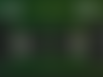 PSV Röbel-Müritz - DSV91 D 2:6