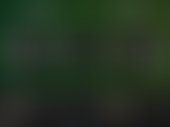 E Jugend Achtelfinale DSV91 - SV Sturmvogel Völschow 11:3 (4:1)