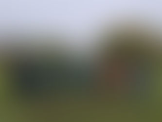 D Jugend Kreispokal SV 46 Rosenow - DSV91 1:11 (0:5)