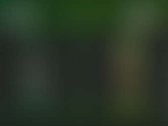 Demminer SV 91 II – SV Traktor Pentz II, 3:0 (2:0)