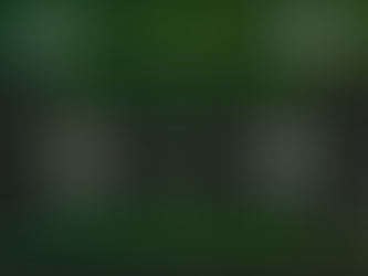 D Jugend DSV91 - FSV 90 Altentreptow 20:0 (7:0)