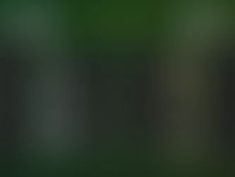 C Jugend VFC Anklam - DSV91 0:2 (0:1)