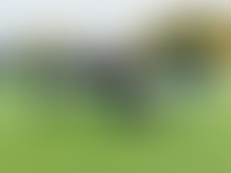 C Jugend DSV91 - SG Pasewalk/Rollwitz 5:0