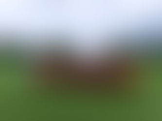 Peenefest Bambini-Turnier :Ein Fest für den Nachwuchsfußball