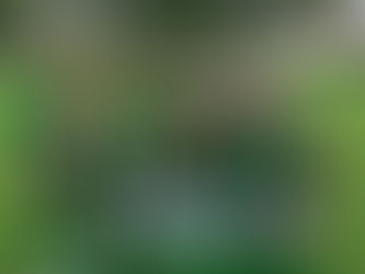 DSV 91 E - JSG Dargun/Neukalen 5 :6