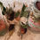 Thumbnail: Moon Manifesting Love Kit