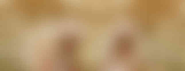 two roving performers dressed in blush feathered costumes with two children at wedding reception in Terrigal, Central Coast