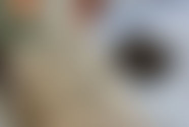 Kiva Tangerine Dark Chocolate Bar 180 MG THC Review By Cali Cannabliss