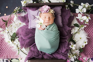 DSC_7666-Edit.jpg