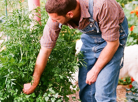 Gardener