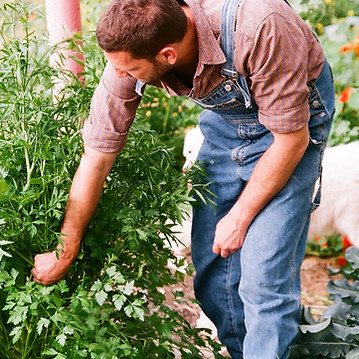 Gardener