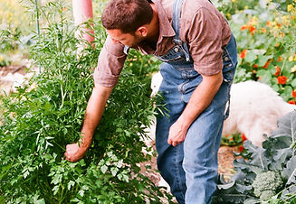 Gardener