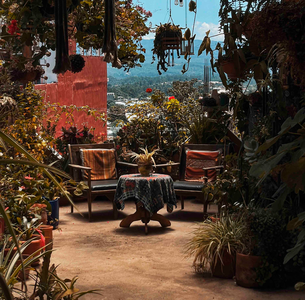 Cozy patio with two chairs and table under lush hanging plants, colorful cushions, and a rustic blanket. Mountain view in the background.