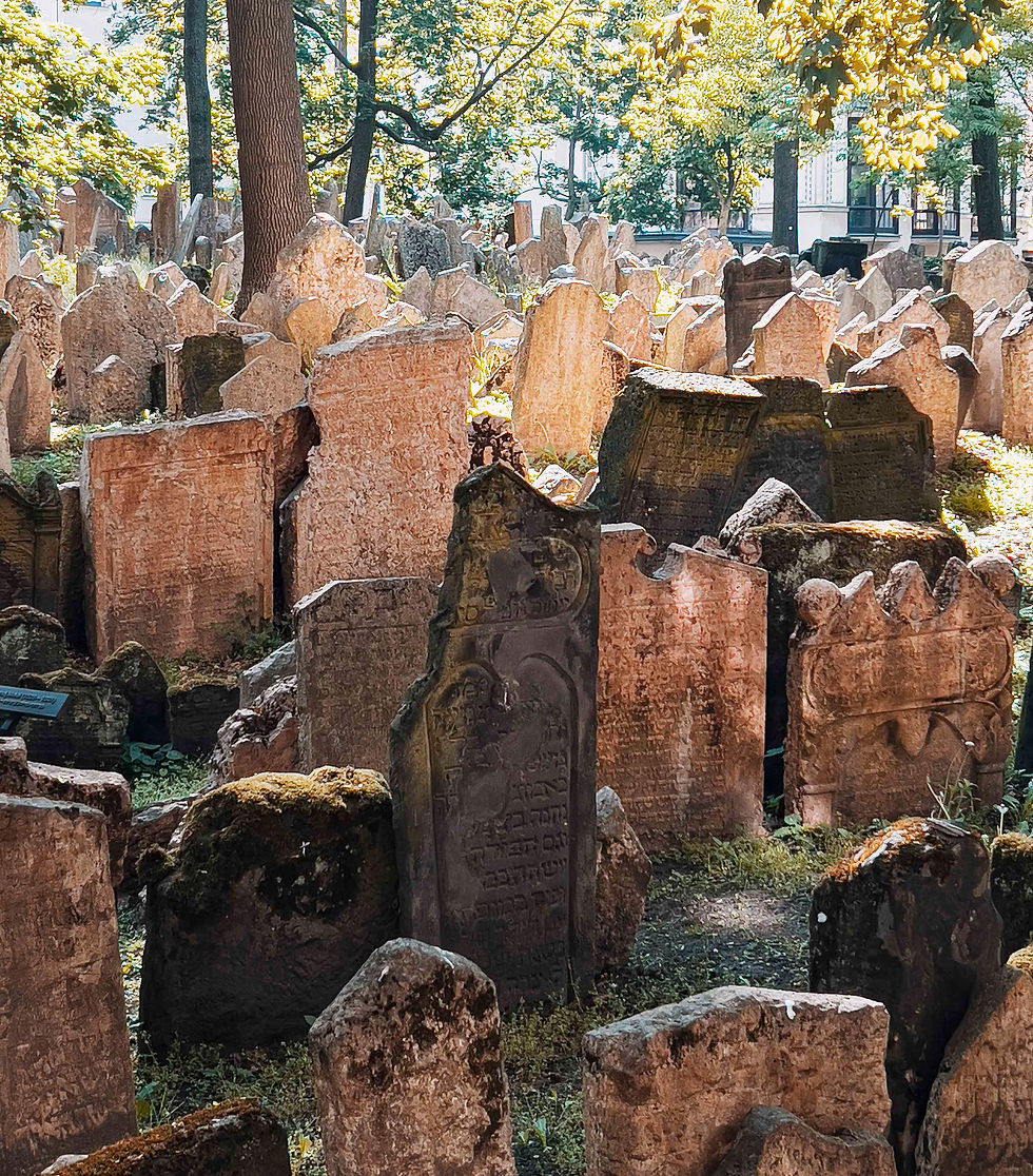 Old, weathered gravestones in a serene, sunlit cemetery surrounded by trees. Moss covers some stones, creating a peaceful, historic mood.