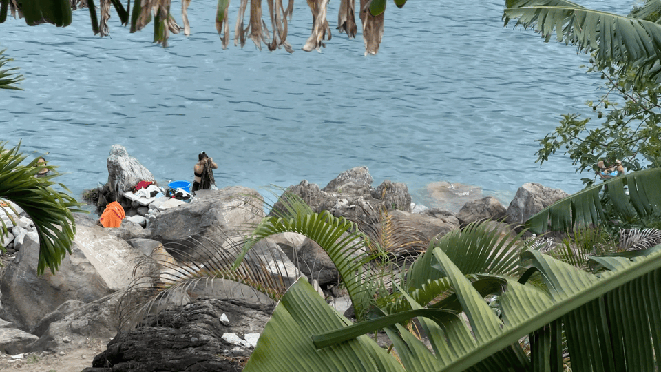 People at a rocky beach by calm blue water, with clothes scattered nearby. Lush green leaves frame the scene.