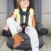 We Save & Travel Gear Pick