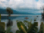 Person in a red shirt paddles a boat on a calm lake. Mountains and trees reflect in the water. Overcast sky; green leaves in foreground.