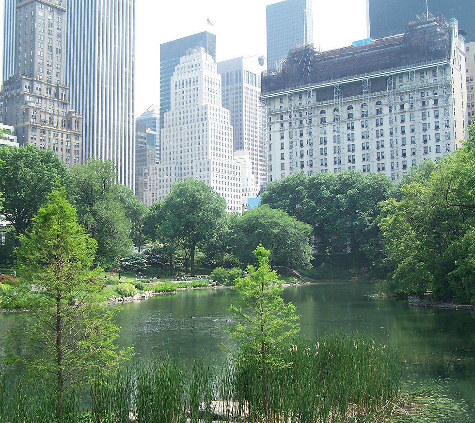 Lush green park with a pond in the foreground, surrounded by trees. Tall city buildings rise in the background under a clear sky.