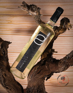 FOTOPRODUCTO-060