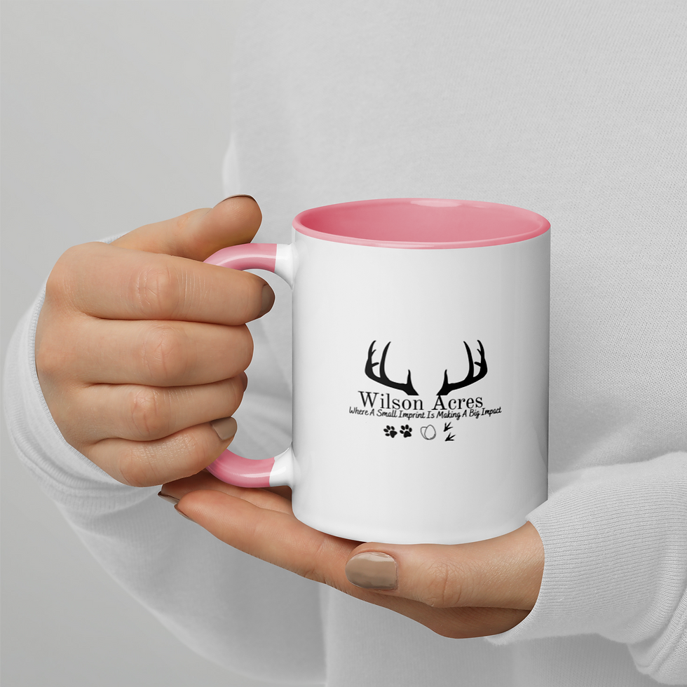 Thumbnail: Mug with Color Inside"Wilson Acres"
