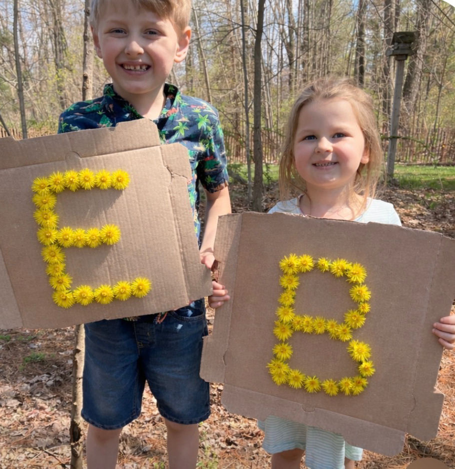 From Backyard to Tea Cup: Embracing Dandelions for Wellness 