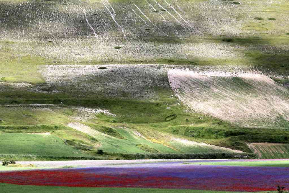 IMG_4677a [1600x1200].jpg