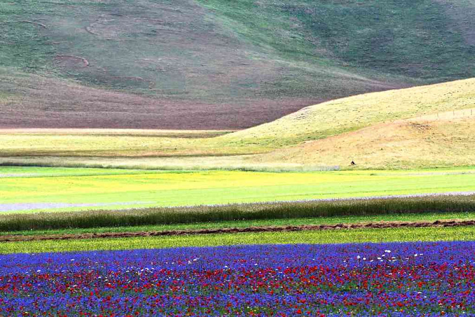 IMG_4764a [1600x1200].jpg