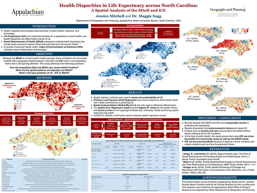 Poster created for SEDAAG presentation of latest research