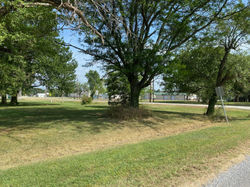 20200719_233141824_iOS