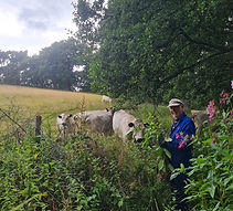 Salhouse Broad Volunteer Group.jpeg