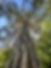 IMG_6172.jpeg