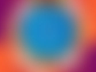 Final Profession of Vows - Sarah Rudolph