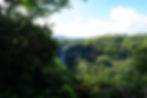 Blick über viele grüne Bäume und den Chamarel-Wasserfall