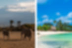 Links Bild Tansania, rechts Bild Sansibar