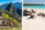 Links Peru Matchu Pitchu, rechts Robben am Strand von Galapagos