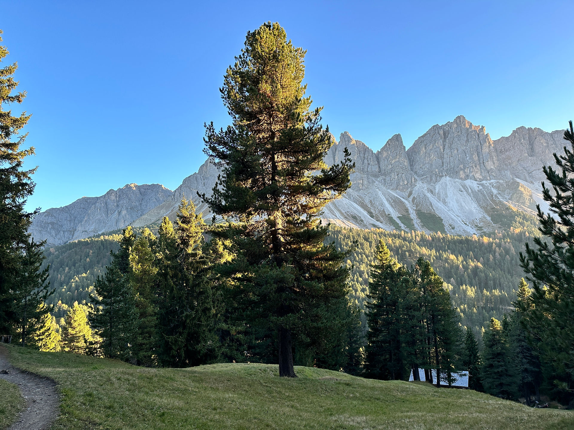 Blick auf die Dolomiten bei Sonnenuntergang mit Baum im Vordergrund