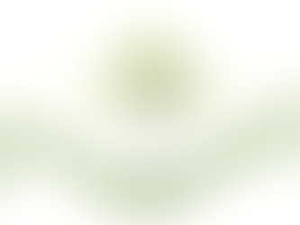 Le Bouleau, arbre de lumière et d’équilibre