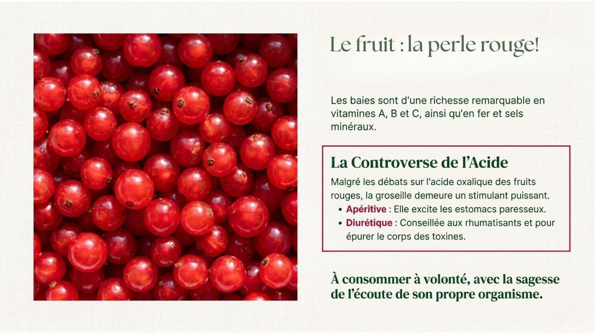Photographie macro en gros plan et plein cadre d'une multitude de groseilles rouges, rondes et translucides, évoquant de petites perles végétales brillantes.