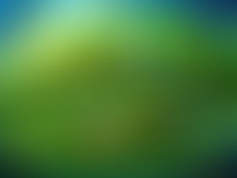 La phyllosphère : le monde invisible à la surface des feuilles