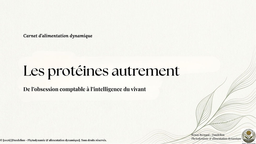 Première diapositive du carrousel "Carnet d'alimentation dynamique" titré "Les protéines autrement : De l'obsession comptable à l'intelligence du vivant", sur un fond texturé avec des illustrations de feuilles.