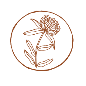 waratah6.gif