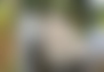 What Do Erosion Control Companies Do - A Homeowner’s Guide