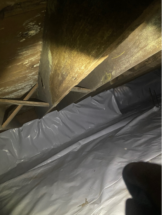 How Long Does Crawl Space Encapsulation Last